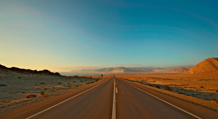 Chile Panamericana